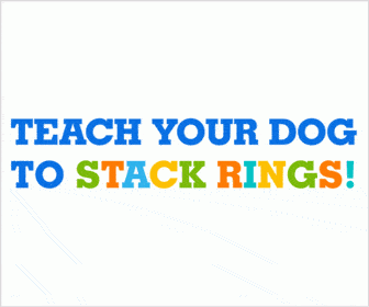 teach Ringstackers 336 x 280-Animated